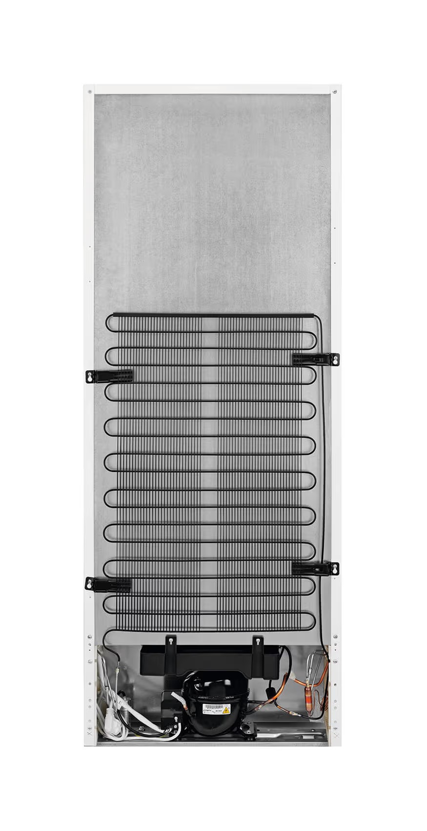 Réfrigérateur Electrolux SC 310 Cooler 309.0 L à droiteréversible (2)