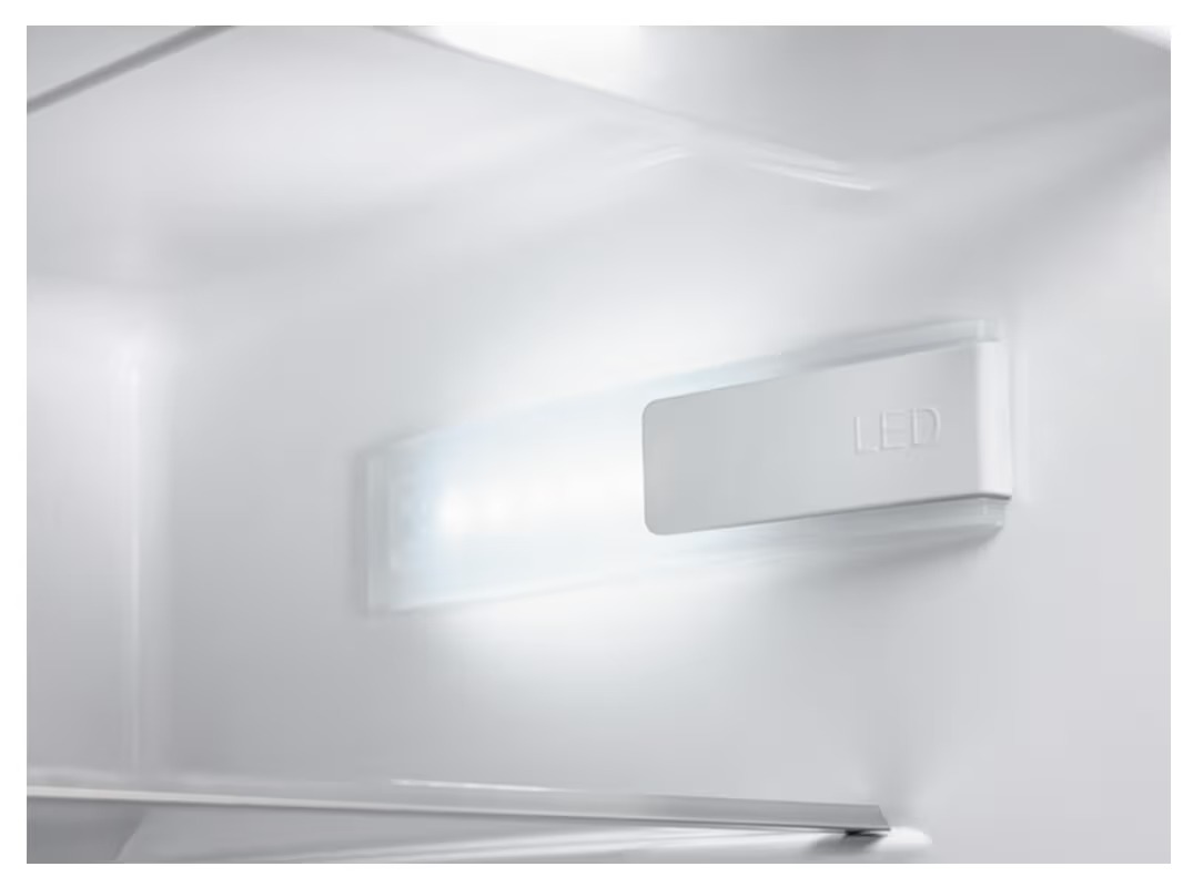 Réfrigérateur Electrolux SC 320 Cooler (NOUVEAU) 314.0 L à droiteréversible (6)