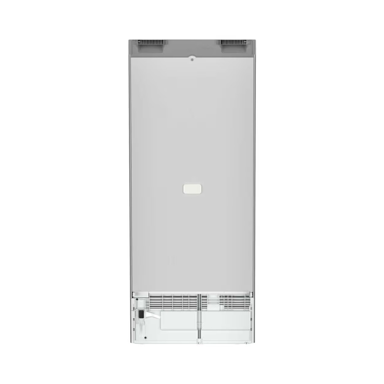 Réfrigérateur armoire Liebherr Rsfd 4600 Pure 298.0 L à droiteréversible (3)